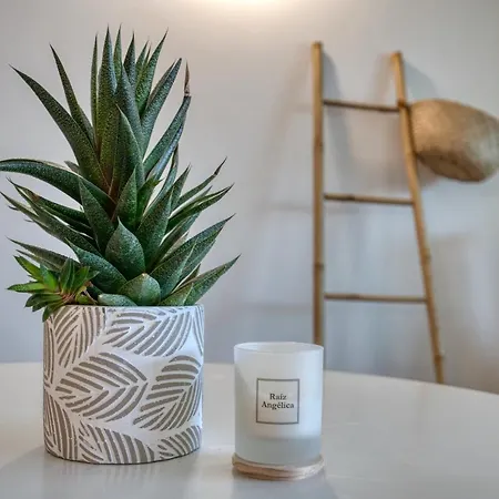 Apartman Kaminias Iii Reformat Per 4 Persones A Politur A 10 Minuts A Peu De La Cala Rovira *